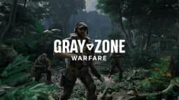 Gray Zone Warfare
